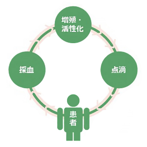 総合免疫細胞再生療法(BAK, NK)